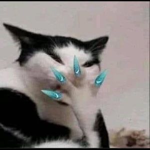 Meet your Posher, Beatriz